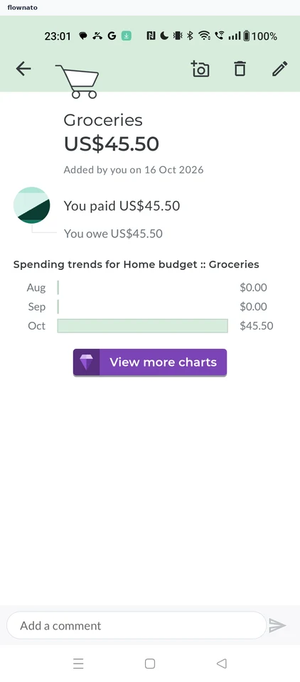 Splitwise: Expense detail