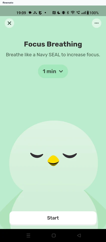 Finch: Breathing exercise