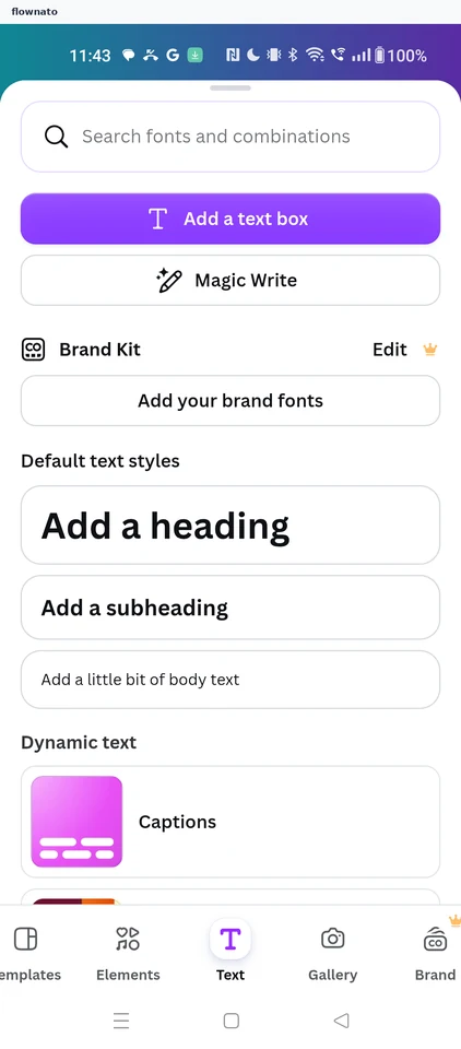 Canva: Pick a text style