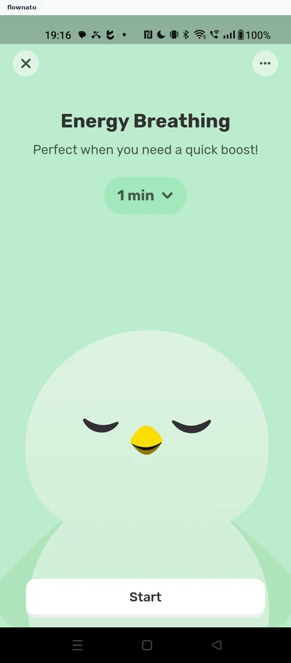 Finch: Breathing exercise