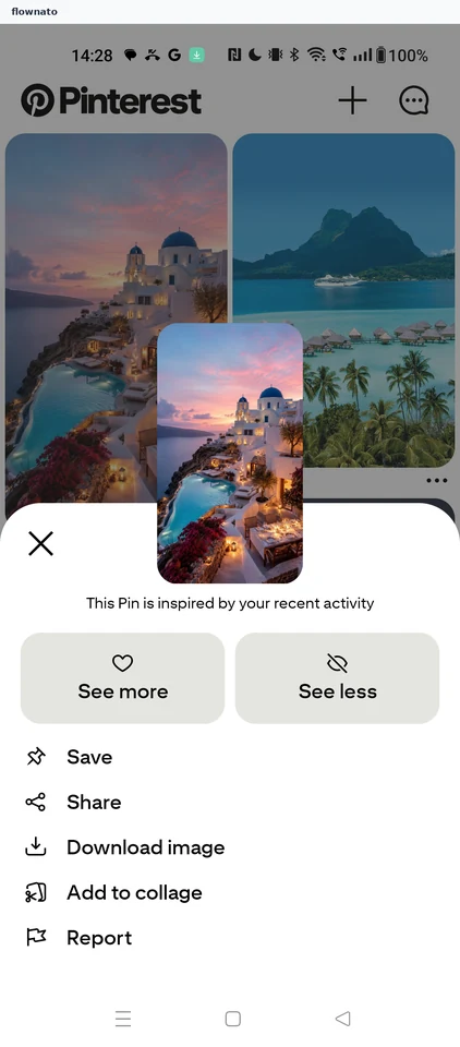 Pinterest: Feed card options