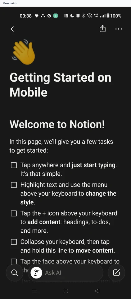Notion: Page opens