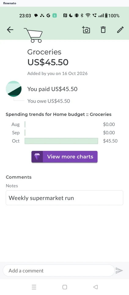 Splitwise: Expense detail
