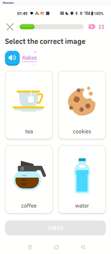 Duolingo: Dotted new word