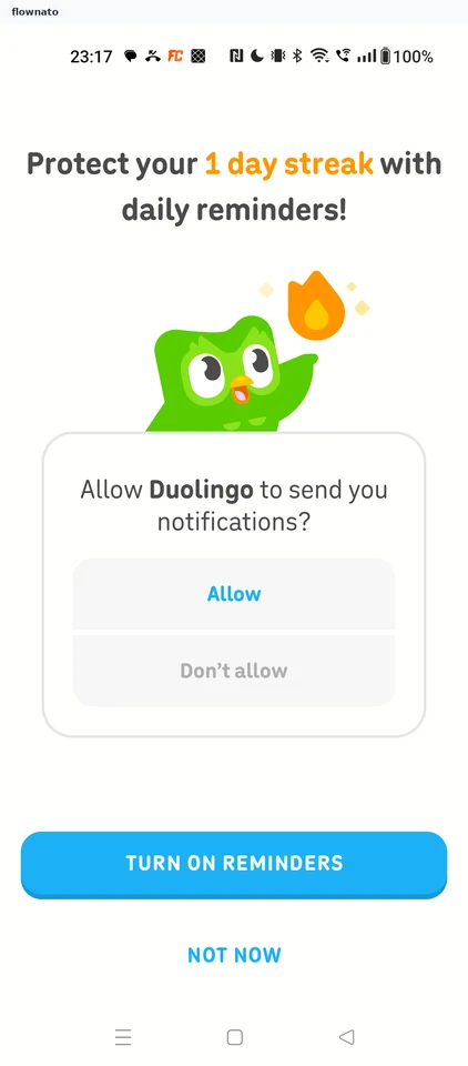 Duolingo: Streak reminders