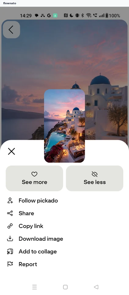 Pinterest: Pin options