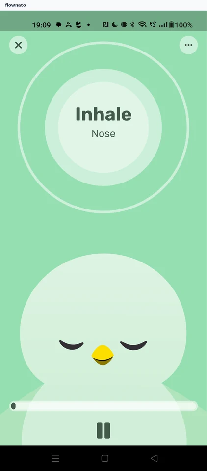 Finch: Breathing session