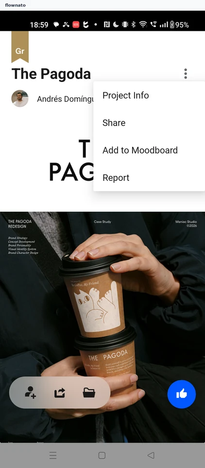 Behance: Project options