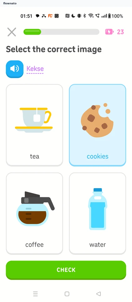 Duolingo: Cookies selected