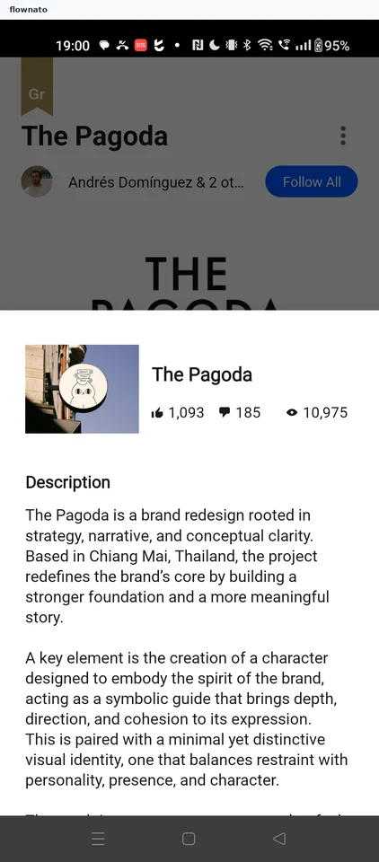 Behance: Project info