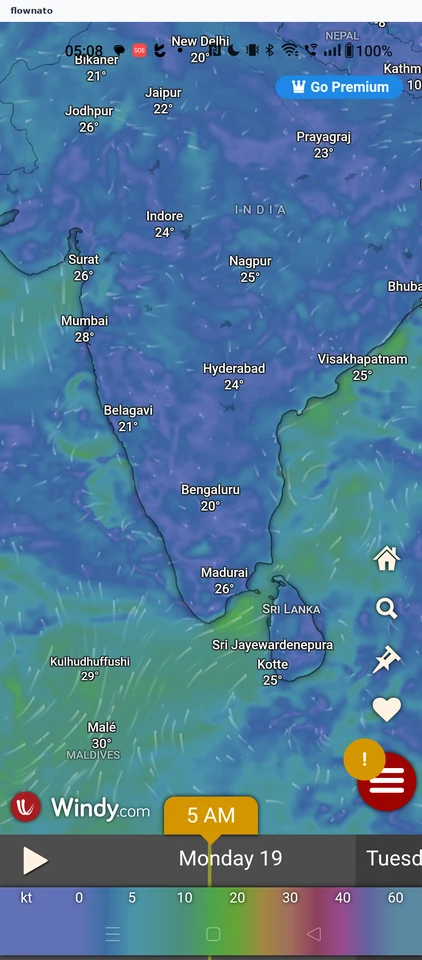 Windy: Map