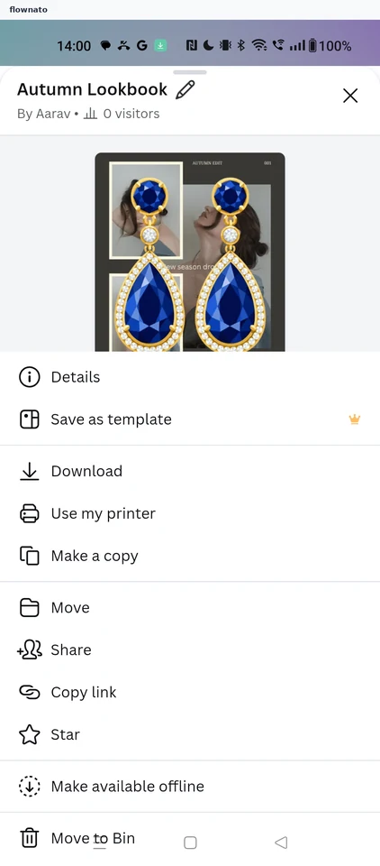 Canva: Design options