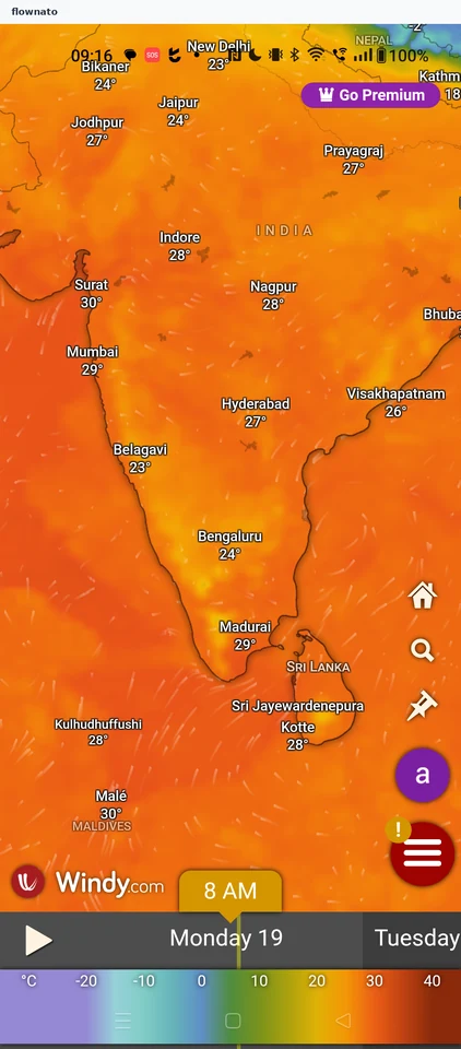 Windy: Map