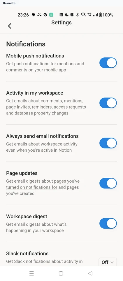 Notion: Settings