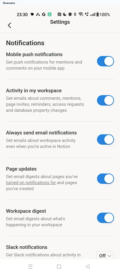 Notion: Notification settings