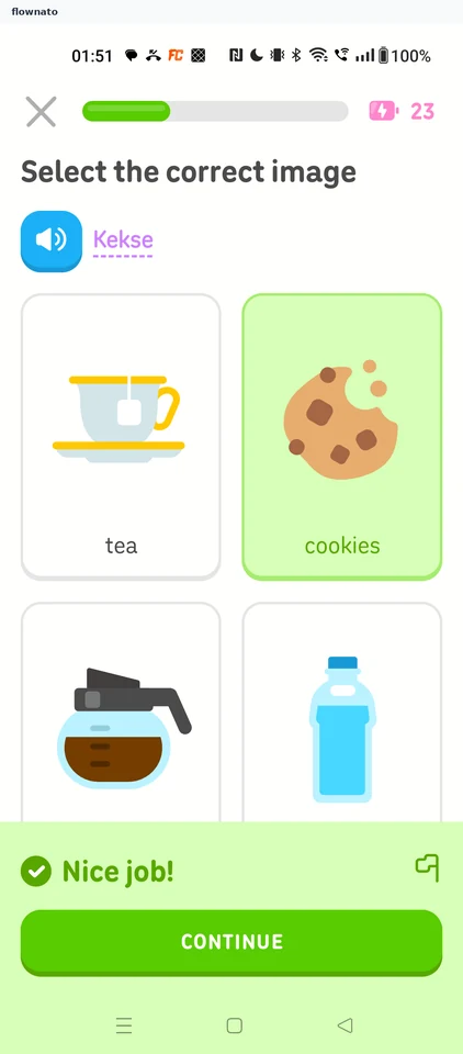 Duolingo: Correct, no explanation