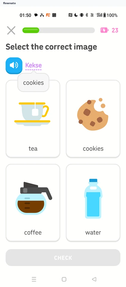 Duolingo: Meaning tooltip