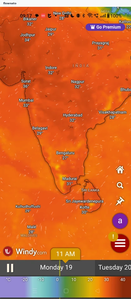 Windy: Map