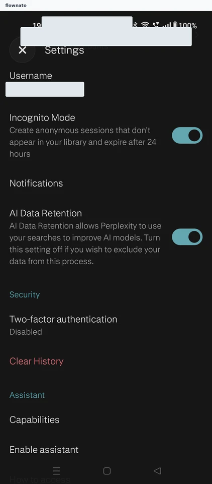 Perplexity: Settings
