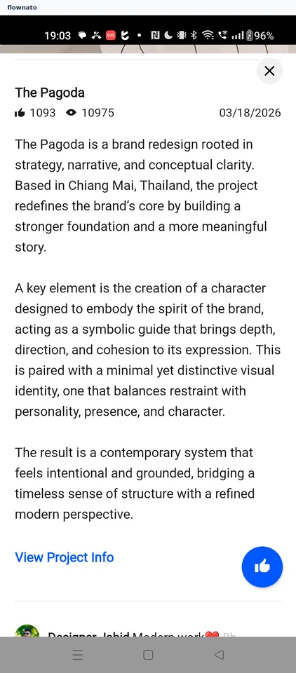 Behance: Project description