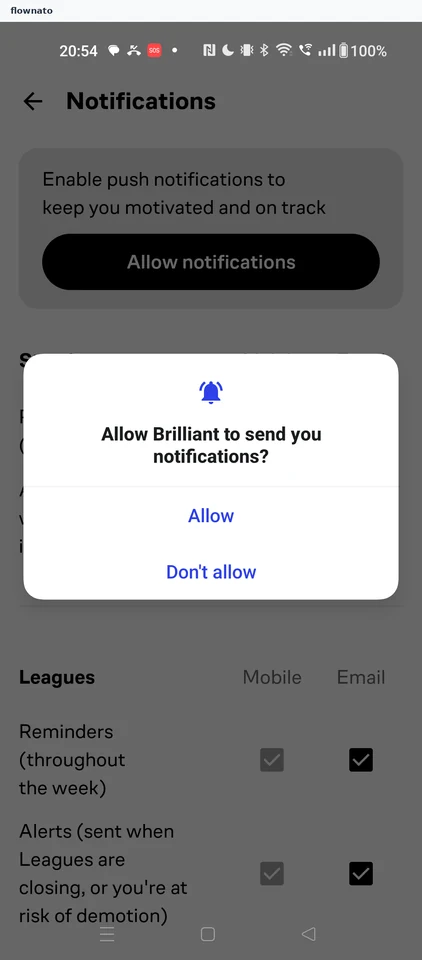 Brilliant: Notification permission